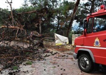 Πτώσεις δέντρων εξαιτίας των ισχυρών ανέμων (φωτ. αρχείου: ΑΠΕ-ΜΠΕ/Ευάγγελος Μπουγιώτης)