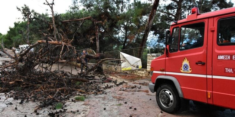 Πτώσεις δέντρων εξαιτίας των ισχυρών ανέμων (φωτ. αρχείου: ΑΠΕ-ΜΠΕ/Ευάγγελος Μπουγιώτης)