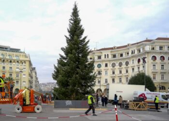 Το έλατο δεσπόζει στο κέντρο της πλατείας Αριστοτέλους (φωτ.: EUROKINISSI/Κωνσταντίνος Τσακιτζής)