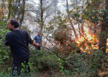 Εθελοντές στη μάχη για την κατάσβεση της πυρκαγιάς που ξέσπασε στο Νότιο Πήλιο (φωτ.: magnesianews.gr)