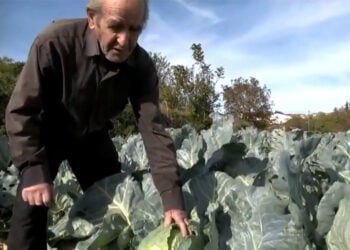 (Στιγμιότυπο από την εκπομπή της ΕΡΤ3)