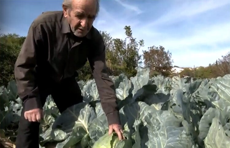 (Στιγμιότυπο από την εκπομπή της ΕΡΤ3)