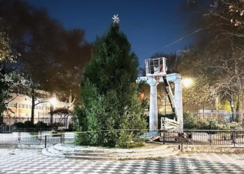 Το έλατο είναι έτοιμο για στολισμό στην Πλατεία Αθηνών (φωτ.: facebook/Athens Square Tree Committee)