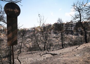 Καμένη έκταση στο Μάτι (φωτ. EUROKINISSI/Βασίλης Ρεμπάπης)