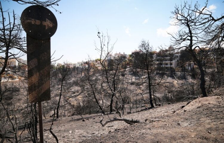 Καμένη έκταση στο Μάτι (φωτ. EUROKINISSI/Βασίλης Ρεμπάπης)