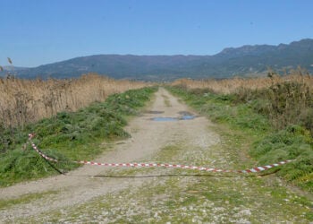 Το σημείο όπου βρέθηκε η σορός του Μπάμπη Κούτσικου, μια βαλτώδης περιοχή ανατολικά της λιμνοθάλασσας του Μεσολογγίου (φωτ.: ΑΠΕ-ΜΠΕ / Νίκη Μπερερή)