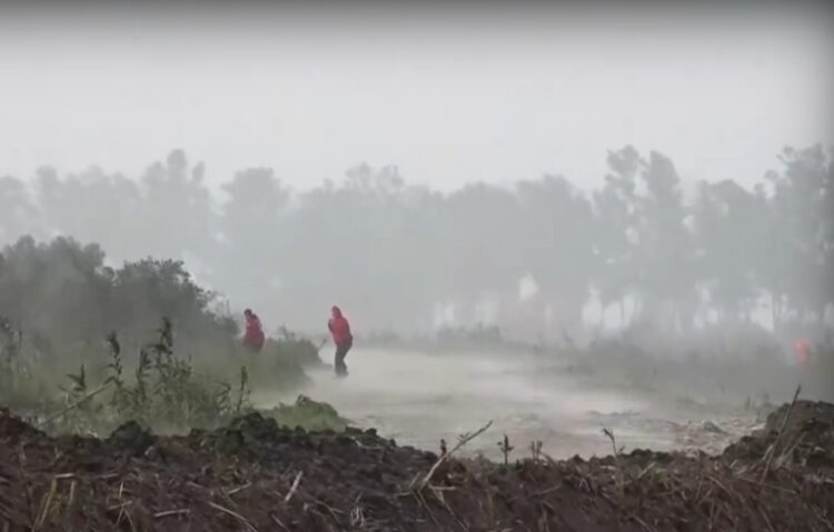 Στιγμιότυπο από τις έρευνες των διασωστών σε αγροτικές εκτάσεις του Μεσολογγίου (φωτ.: glomex)