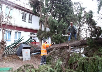 (Φωτ.: ΜΟΤΙΟΝΤΕΑΜ / Βασίλης Βερβερίδης)