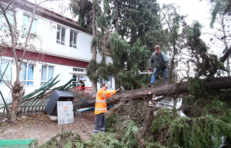 (Φωτ.: ΜΟΤΙΟΝΤΕΑΜ / Βασίλης Βερβερίδης)