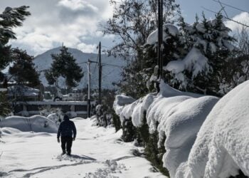 Χιόνια στο Διόνυσο της Αττικής το 2023 (φωτ. αρχείου: EUROKINISSI/Μιχάλης Καραγιάννης)