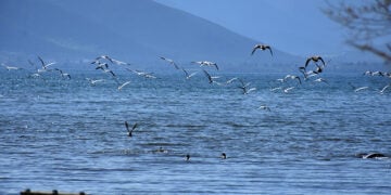 (Φωτ.: EUROKINISSI / Βασίλης Παπαδόπουλος)