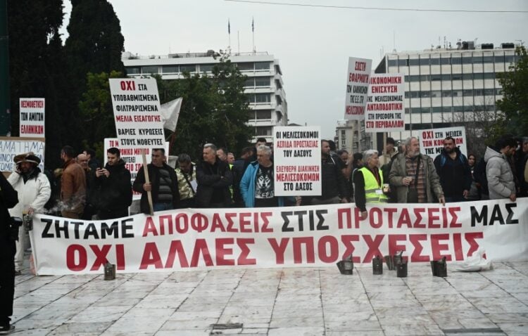 Στιγμιότυπο από τη διαμαρτυρία των μελισσοκόμων στην πλατεία Συντάγματος (φωτ.: EUROKINISSI/Κώστας Τζούμας)