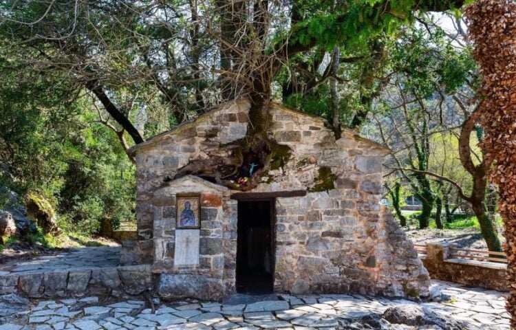 Τα πλατάνια φαίνεται να έχουν φυτρώσει μέσα στους τοίχους του μικρού πέτρινου ναού (φωτ.: notospress.gr)