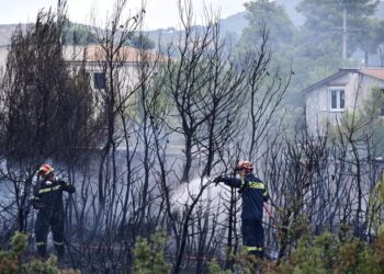 (Φωτ. αρχείου: EUROKINISSI/Μιχάλης Καραγιάννης)