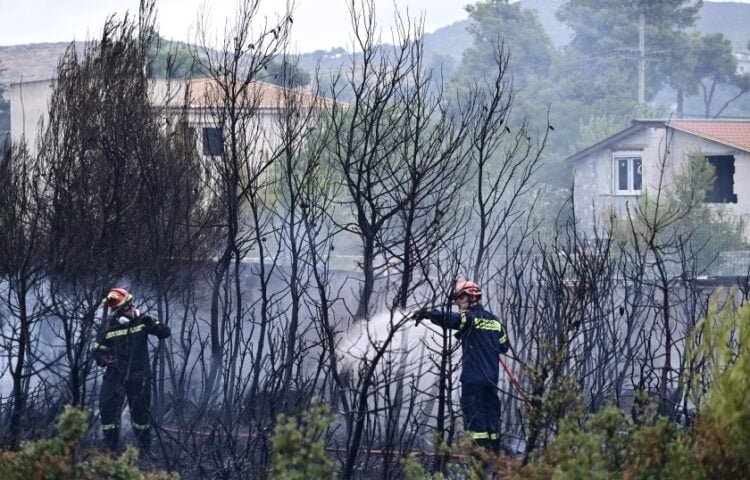 (Φωτ. αρχείου: EUROKINISSI/Μιχάλης Καραγιάννης)