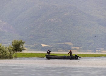 (Φωτ. αρχείου: ΜΟΤΙΟΝΤΕΑΜ / Βασίλης Βερβερίδης)