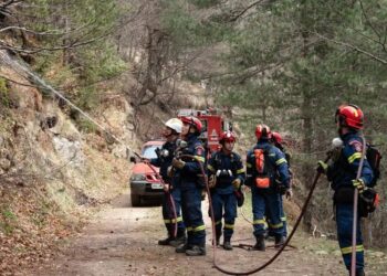 Πυροσβέστες επιχειρούν στο δάσος της Πιερίας (φωτ.: olympiobima.gr)