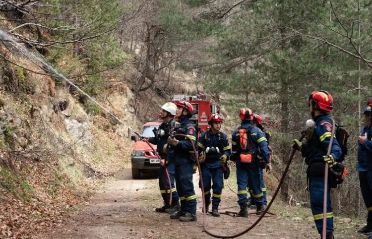 Πυροσβέστες επιχειρούν στο δάσος της Πιερίας (φωτ.: olympiobima.gr)