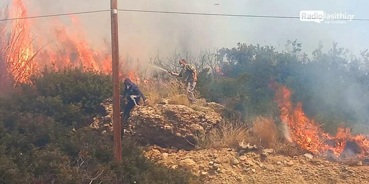 Εικόνα από τη φωτιά στο Λασίθι το απόγευμα του Σαββάτου (φωτ.: radiolasithi.gr)