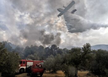 (Φωτ. αρχείου: EUROKINISSI/Βασίλης Παπαδόπουλος)