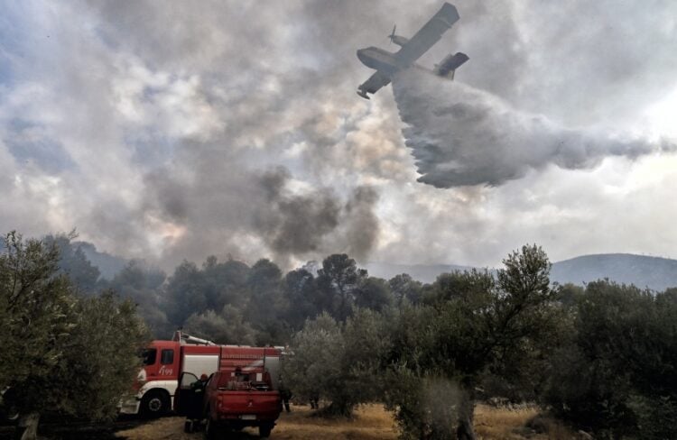 (Φωτ. αρχείου: EUROKINISSI/Βασίλης Παπαδόπουλος)