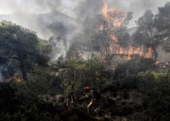 Δασοπυροσβέστης στη διάρκεια κατάσβεσης (φωτ. αρχείου: EUROKINISSI)