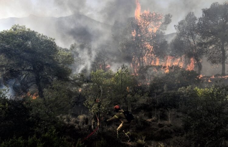 Δασοπυροσβέστης στη διάρκεια κατάσβεσης (φωτ. αρχείου: EUROKINISSI)