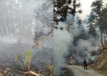 Στην περιοχή επιχειρούν ισχυρές δυνάμεις της Πυροσβεστικής (φωτ.: olympiobima.gr/Νίκος Κουτλούμπασης)