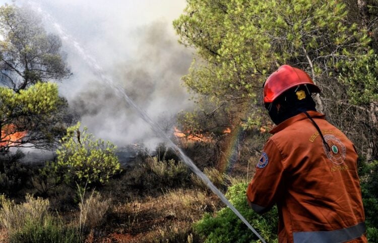 Πυροσβέστης κατασβήνει φωτιά στην Καλλιθέα Λουτρακίου (φωτ. αρχείου: EUROKINISSI)