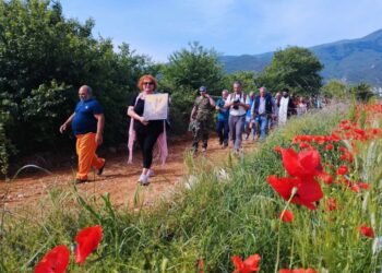 Πιστοί κρατούν την εικόνα και περπατούν μέσα στην ελληνική φύση (φωτ.: ΑΠΕ-ΜΠΕ)