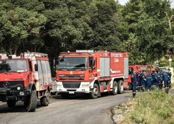 Από την άσκηση «ΔΙΑ-ΠΥΡΟΣ 2024», για δασική πυρκαγιά μεγάλης κλίμακας σε πραγματικές συνθήκες (φωτ.: ΑΠΕ-ΜΠΕ / Ευάγγελος Μπουγιώτης)