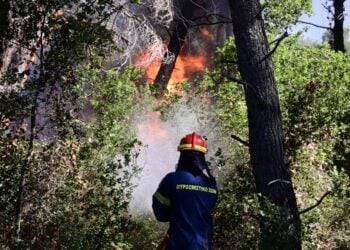 Πυρκαγιά στην Σταμάτα Αττικής, Κυριακή 30 Ιουνίου 2024. (Φωτ.: Eurokinissi/Μιχάλης Καραγιάννης)