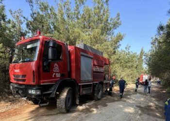 Δυνάμεις της Πυροσβεστικής στο σημείο της φωτιάς στο Σέιχ Σου (Φωτ.: Δήμος Νεάπολης-Συκεών)