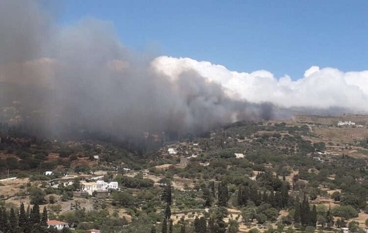 Η φωτιά που καίει στην Άνδρο (φωτ.: Facebook / Χρυσοβαλάντης Δημήτριος Αχλάδης)