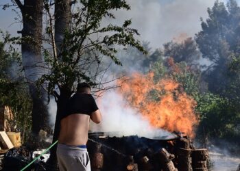 Πυρκαγιά στη Σταμάτα Αττικής (φωτ.: EUROKINISSI / Μιχάλης Καραγιάννης)