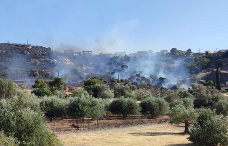 Φλόγες καίνε ελαιόδεντρα στην Αργολίδα (φωτ.: EUROKINISSI/Λευτέρης Δαγρές)