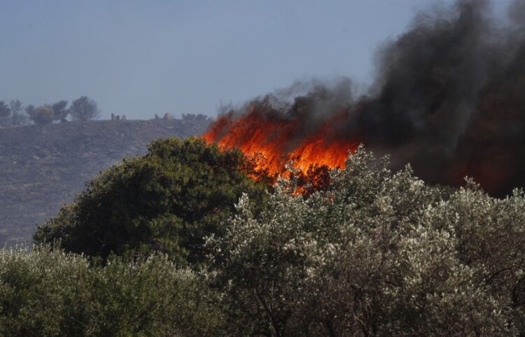 Η φωτιά προχωρά με ταχύτατους ρυθμούς λόγω των ισχυρών ανέμων (φωτ.: EUROKINISSI/Σωτήρης Δημητρόπουλος)