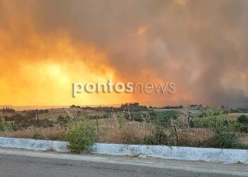 Η φωτιά κοντά στο Σιμόπουλο Ηλείας (φωτ.: Έλλη Νικολακοπούλου)