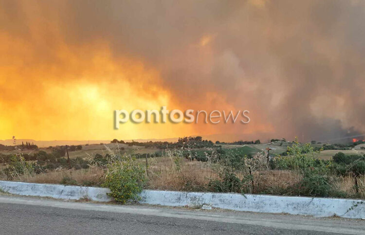 Η φωτιά κοντά στο Σιμόπουλο Ηλείας (φωτ.: Έλλη Νικολακοπούλου)