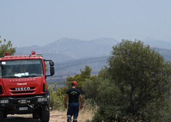 Πυροσβεστικό όχημα στα Δερβενοχώρια του νομού Βοιωτίας (φωτ. αρχείου: EUROKINISSI / Τατιάνα Μπόλαρη)