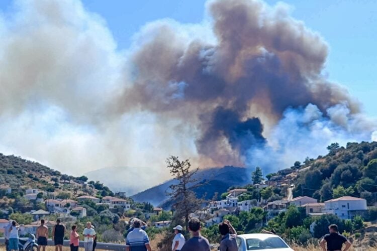 Μεγάλη πυρκαγιά στην Εύβοια, ανάμεσα στα χωριά Πετριές και Κριέζα (φωτ.: Eviathema.gr / EUROKINISSI)