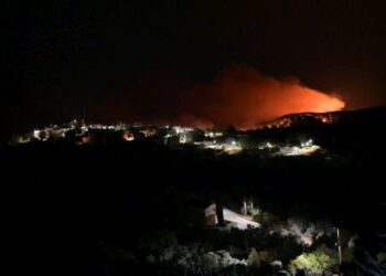 Εικόνα από τη δασική πυρκαγιά που ξέσπασε χθες στη Χίο. Πλέον δεν υπάρχει ενεργό μέτωπο (φωτ.: ΑΠΕ-ΜΠΕ/Κώστας Κουργιάς)