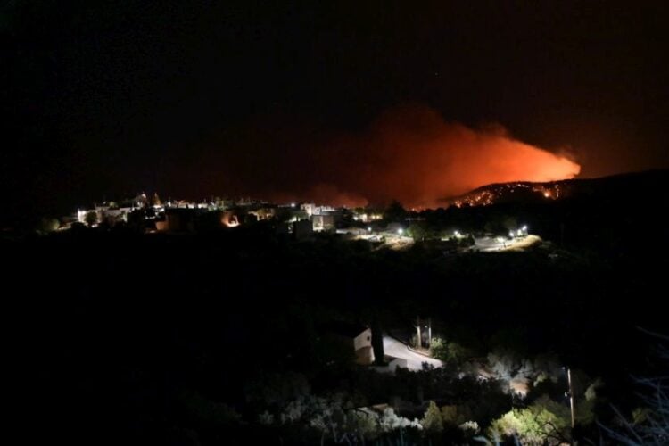 Εικόνα από τη δασική πυρκαγιά που ξέσπασε χθες στη Χίο. Πλέον δεν υπάρχει ενεργό μέτωπο (φωτ.: ΑΠΕ-ΜΠΕ/Κώστας Κουργιάς)