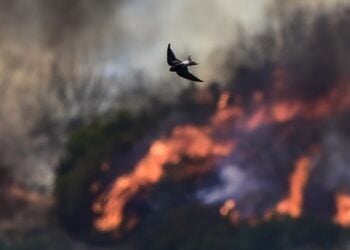 (Φωτ.: Eurokinissi / Μιχάλης Καραγιάννης)