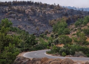 Καμένα δέντρα στην περιοχή Μετόχι στη Χίο (φωτ.: ΑΠΕ-ΜΠΕ / Κώστας Κούριας)