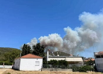 Μεγάλη πυρκαγιά στην Εύβοια, ανάμεσα στα χωριά Πετριές και Κριέζα (φωτ.: Eviathema.gr / EUROKINISSI)