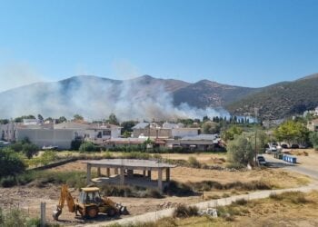 Πυκνός καπνός κοντά σε σπίτια στον Αλμυροπόταμο (φωτ.: Facebook / Anastasopoulos George)