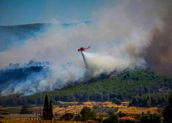 Πυροσβεστικό ελικόπτερο επιχειρεί κοντά στο Αφράτι, στην κεντρική Εύβοια (φωτ.: EUROKINISSI / eviathema.gr)