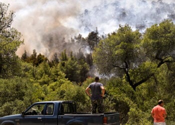 Εθελοντές βοηθούν στην κατάσβεση πυρκαγιάς στο Σοφικό Κορινθίας (φωτ.: ΑΠΕ-ΜΠΕ / Βασίλης Ψωμάς)