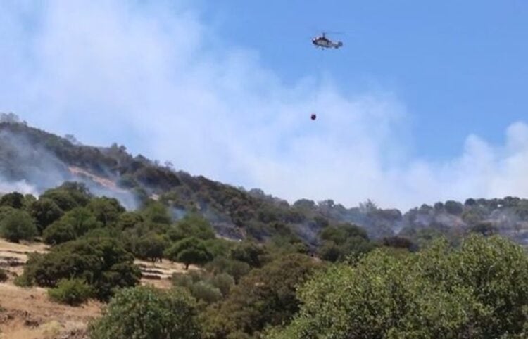 Ελικόπτερο επιχειρεί κατά της πυρκαγιάς στη Λέσβο (φωτ.: glomex)